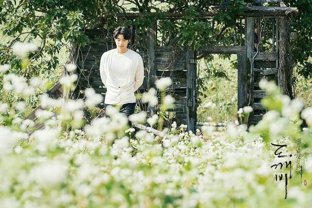 :孔刘 韩国四大公共财产 颜值身材演技_孔刘