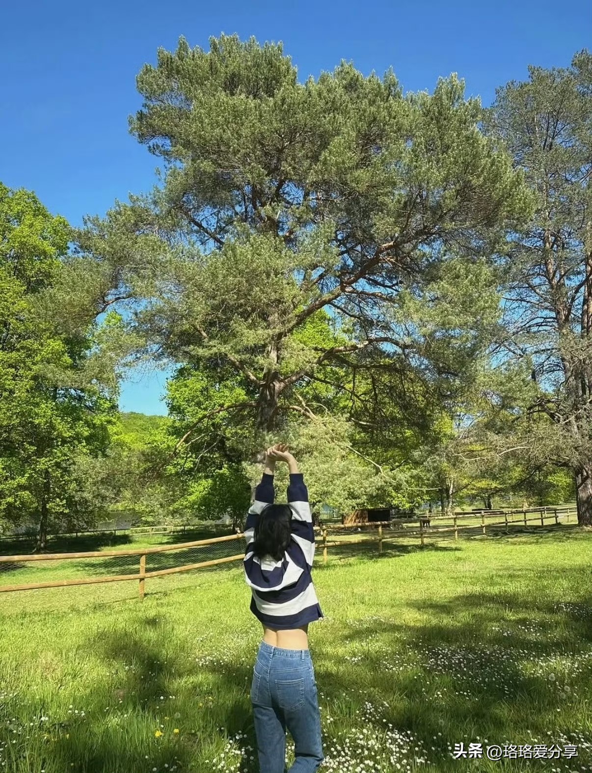 宋慧乔_宋慧乔身材管理_宋慧乔紧致腰线