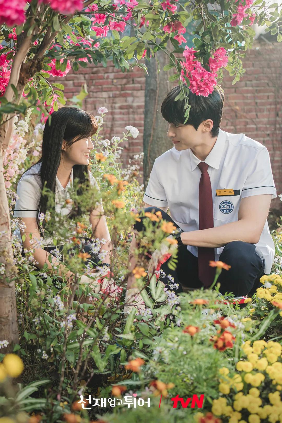 韩剧_韩剧推荐 高分韩剧 2025年必看韩剧